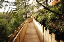 Waitomo Glowworm Cave Experience - Small Group Tour from Auckland
