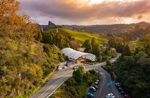 Waitomo Glowworm Cave Experience - Small Group Tour from Auckland