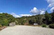 Waitomo Glowworm & Ruakuri Twin Cave Experience - Small Group Tour From Auckland