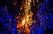 Waitomo Triple Cave Experience - Private Tour From Auckland