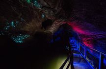 Waitomo Glowworm & Ruakuri Twin Cave - Private Tour From Auckland