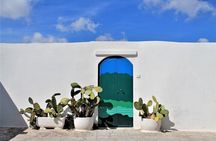 e-bike tour in the plain of the secular olive trees of Ostuni 