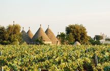 Cisternino e-bike tour. Visit a winery and an oil mill