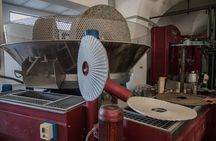 e-Bike tour in Locorotondo, oil mill visit and EVO oil tasting
