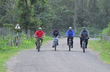 Half Day Cycling Tour of Chitwan National Park and Local Villages