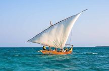 Zanzibar Natural Aquarium and Sun set Cruise at Nungwi Beach 