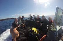 Private Dive Discovery for Beginners from a Boat
