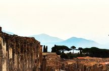 2 Hours Private Tour in Pompeii with Archaeologist