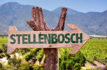 Cape Winelands Private Wine Tour Stellenbosch Franschhoek Paarl