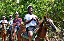 Full-Day La Hacienda Dune Buggy with Zipline & Horseback Activity