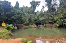 Pork Highway & Cayey Cultural & Gastronomical Experience 