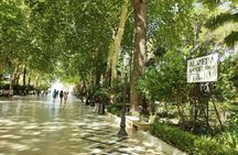 Ronda, the dreamt city: Private Walking Tour