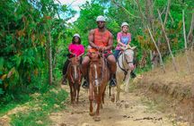 Full Pack Buggies + Horses + Zip Line + Food in Punta Cana