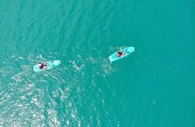 Bacalar 7 Color Lagoon Adventure from Costa Maya 