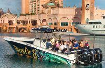 Half-Day Guided Boat Tour of Nassau Harbour and Rose Island