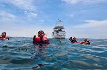 Palomino Islands Tour | Palomino Islands From Lima 2025
