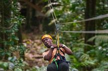 Half-Day Hiking Adventure with Aerial Tram & Zipline in St Lucia