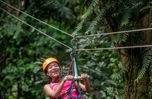 Half-Day Hiking Adventure with Aerial Tram & Zipline in St Lucia