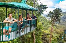 St. Lucia 3 in 1 Combo: Aerial Tram, Rainforest Trail & Zipline 