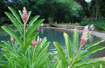 Appleton Estate Admission & Rum Tasting including YS Falls Visit