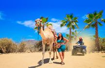 ATV Tour, Camel Ride, Tequila Tasting and Mexican Buffet Lunch