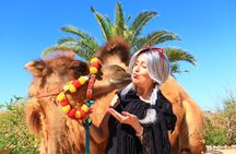 ATV Tour, Camel Ride, Tequila Tasting and Mexican Buffet Lunch