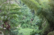ATV, Zipline, River Tubing and Island Gully Falls 