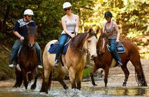Horse Riding, Koalas & Kangaroos - Wild Australia: Private Tour