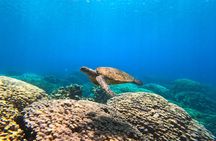 Daymaniyat Islands Snorkeling Sharing Trip 