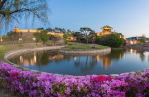 Night View Tour to Suwon Hwaseong Fortress from Seoul