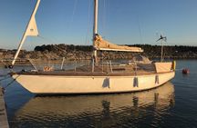 3-Hour Small Group Guided Evening Sailing in Front of Helsinki