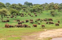2 Day Camping 4x4 Safari: TARANGIRE & NGORONGORO CRATER