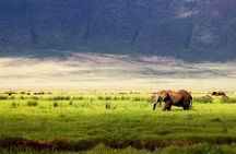 2 Day Camping 4x4 Safari: TARANGIRE & NGORONGORO CRATER