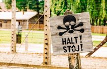 Day Tour to Auschwitz Birkenau Museum with Transportation