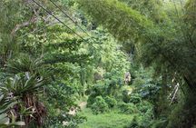 White River Zipline, Tubing and Blue Hole from Montego Bay