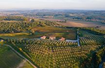 2 Hours Visit and Wine Tasting with tastings in Val D'Orcia