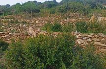 Olbia: visit a myrtle-making factory with tasting