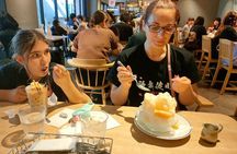 Family Tour In Tokyo A Half Day Of Food &Anime& Sweets With Guide