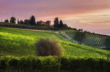 2 Hours Visit and Wine Tasting with tastings in Val D'Orcia