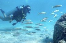 Beginner Scuba Diving Experience With Videos in West Palm Beach
