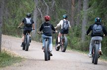 Electric Fatbike Trip to the Reindeer Farm