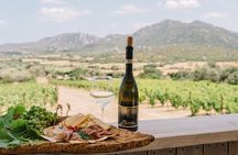 Gallura Winery with Wine Tasting in Olbia
