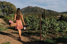 Gallura Winery with Wine Tasting in Olbia