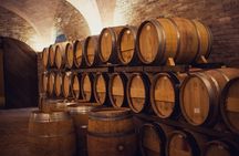 1h30m Wine Tasting and Visit to Val D'Orcia