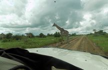 The Amaizing Private Day Trip to the lovely Arusha National Park 