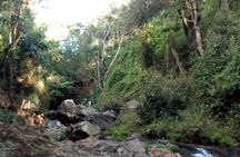 Ngare Ndare Day Trip - Nanyuki