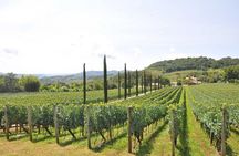 Bento/Vinhedos: Private Tour from Porto Alegre or Gramado