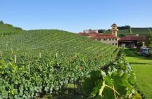 Bento/Vinhedos: Private Tour from Porto Alegre or Gramado