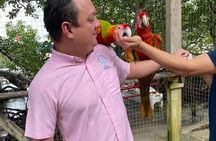 Half Day Roatan Private Tour 