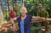 Half Day Roatan Private Tour 